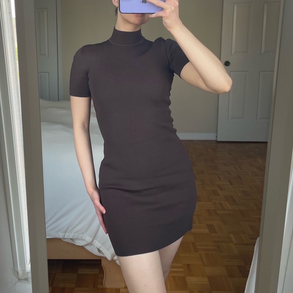 Aritzia Brown Mini Mock Neck Dress